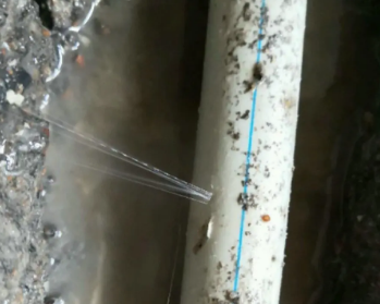 余干卫生间测漏水多少钱